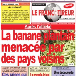 Le Franc-Tireur N°60